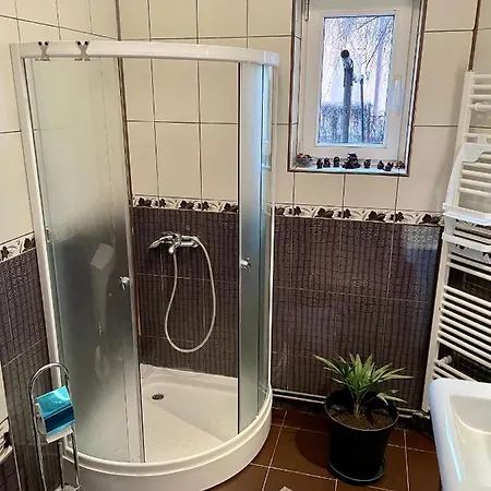 Mosaico Alfetta 旅馆 蒂米什瓦拉