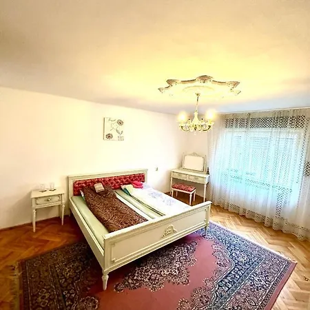 Mosaico Alfetta 旅馆 蒂米什瓦拉