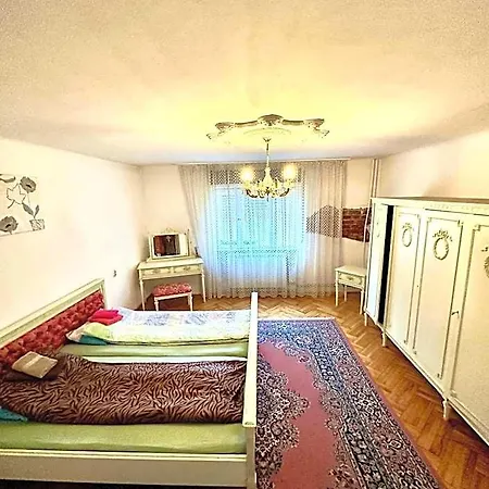 Hostel Mosaico Alfetta *