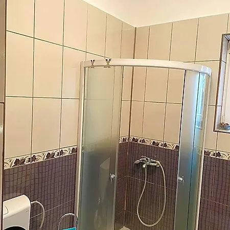 Mosaico Alfetta Hostel Timisoara