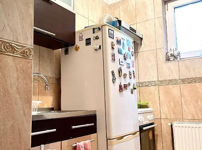 旅馆 Mosaico Alfetta 蒂米什瓦拉