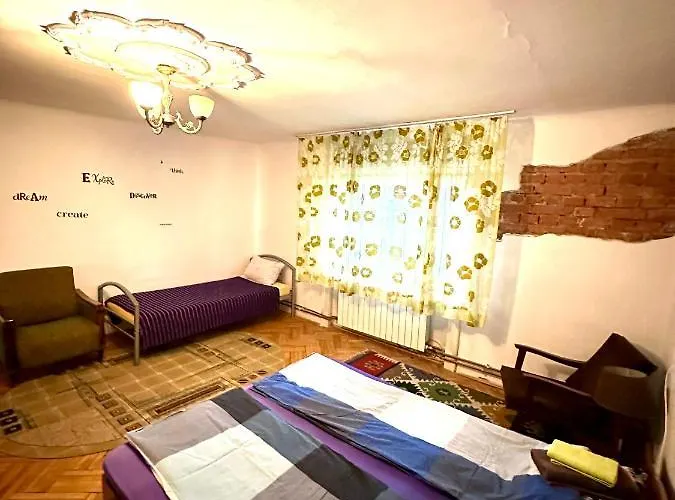 Mosaico Alfetta 旅馆 蒂米什瓦拉