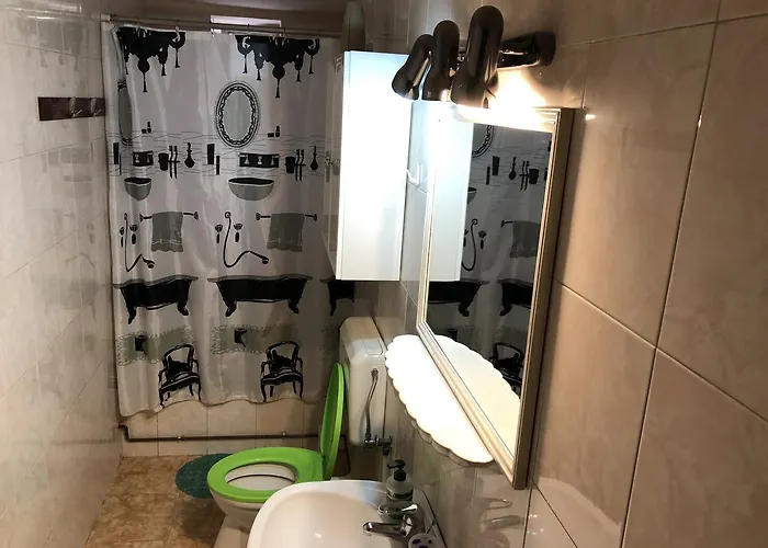 Mosaico Alfetta 旅馆 蒂米什瓦拉