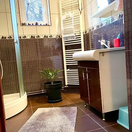 Mosaico Alfetta * Тімішоара